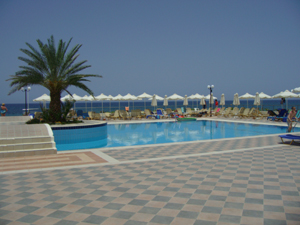 Swimming Pool mit Palme Swimming Pool mit Palme