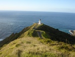 Cape Reinga