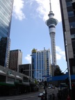 Auckland Auckland