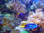 Underwater World - Auckland Underwater World - Auckland