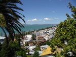 Napier