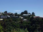 Napier Napier