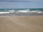 Ocean Beach Ocean Beach